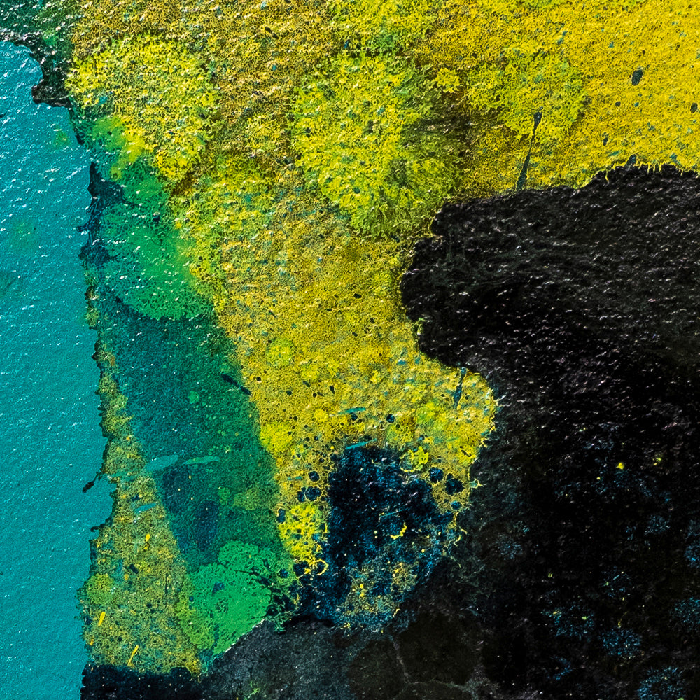 SPLASH CARTA™ LVIII