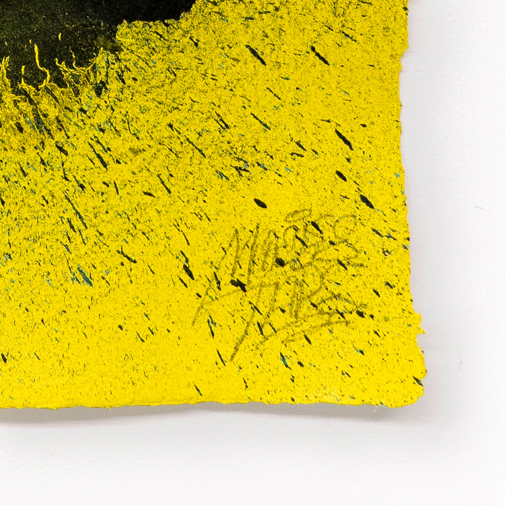 SPLASH CARTA™ LVIII
