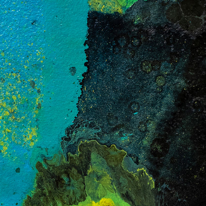 SPLASH CARTA™ LVIII