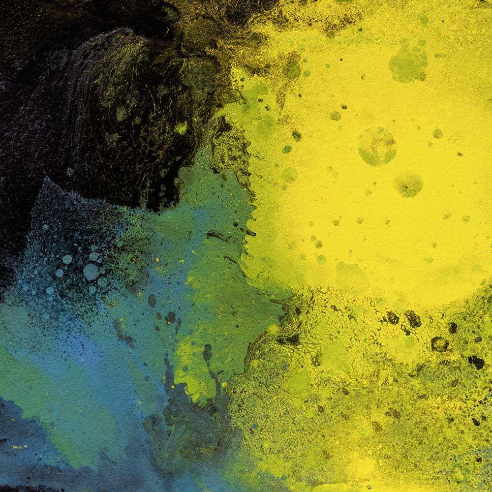 SPLASH CARTA™ LVII