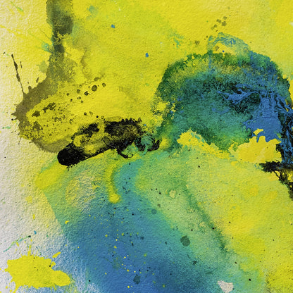 SPLASH CARTA™ LXIV