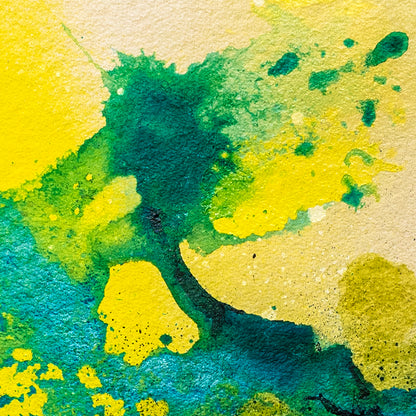 SPLASH CARTA™ XLVI