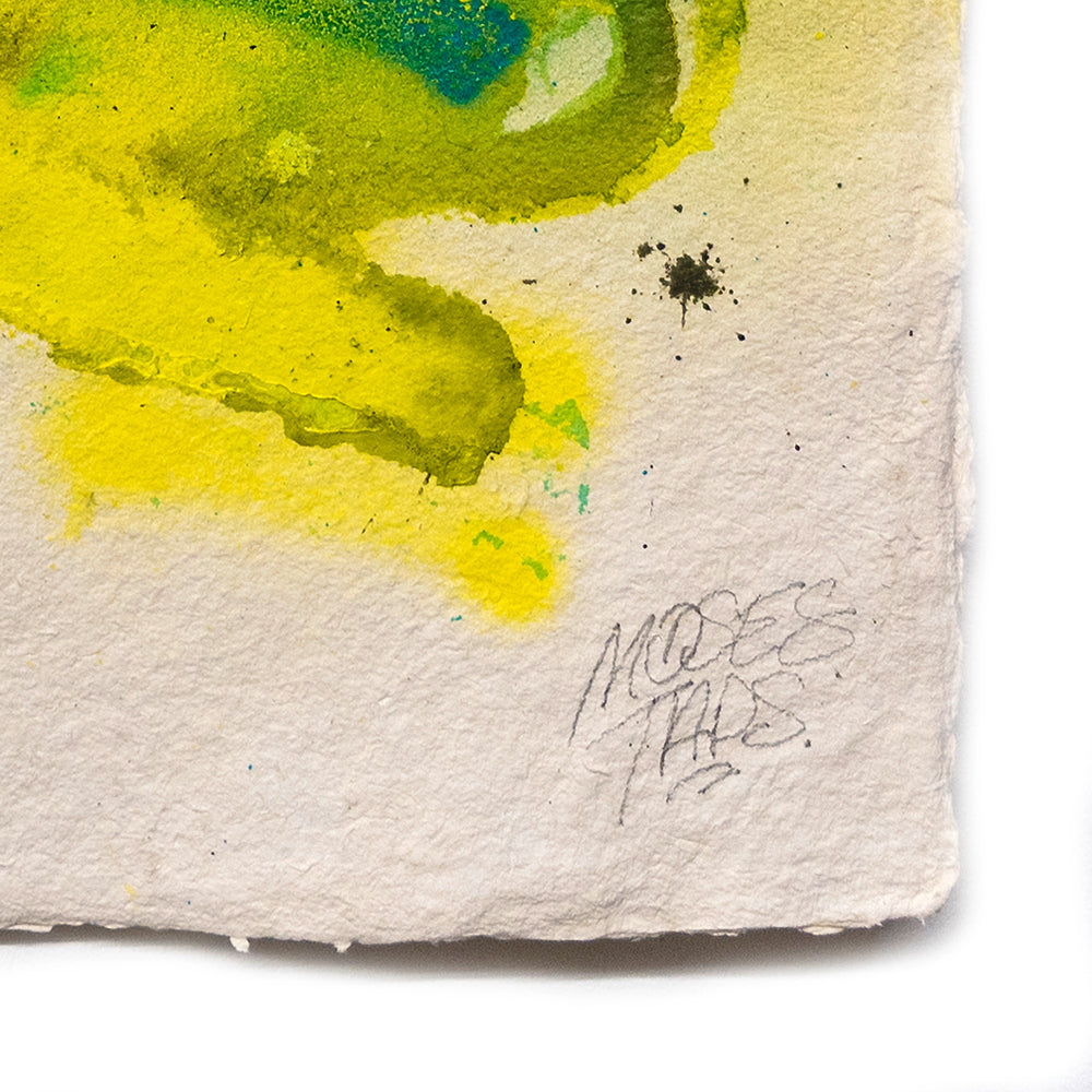 SPLASH CARTA™ XLVI