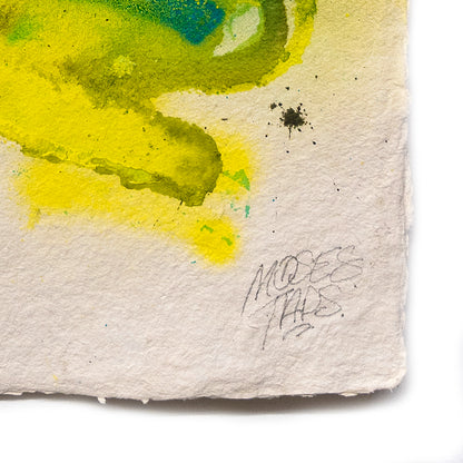 SPLASH CARTA™ XLVI